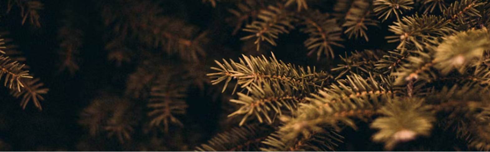 MELK & HONNINGS JULETIPS