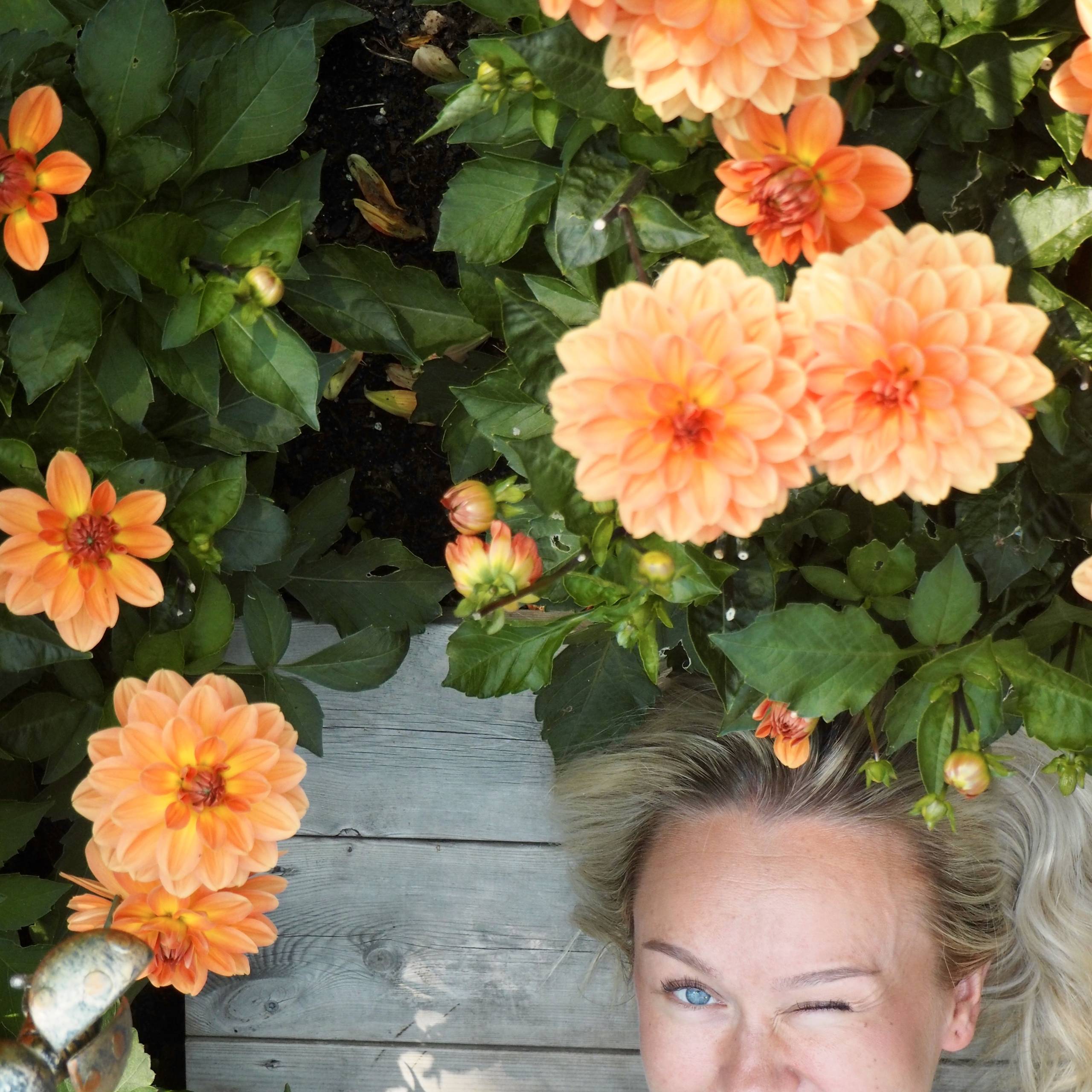 🌴Kjør sommerfavs
