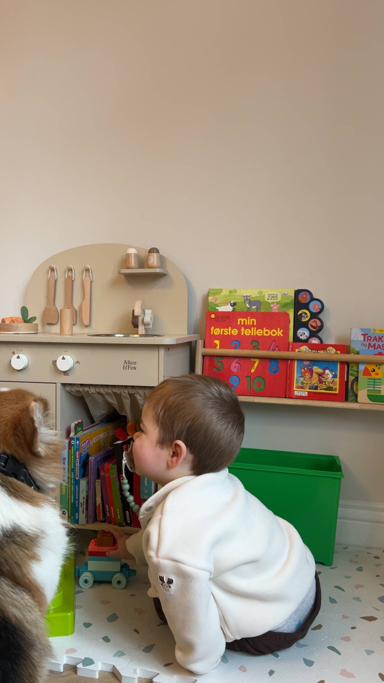 Francis sin ønskeliste🎁